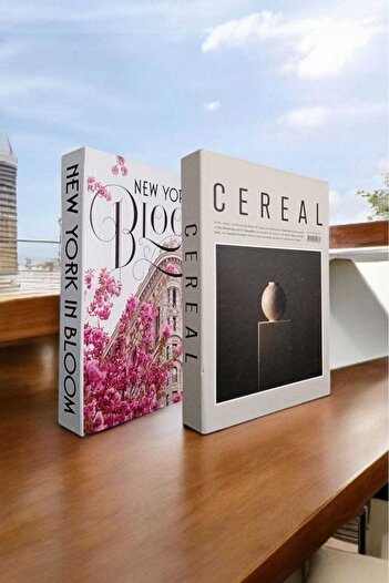 BayCazip Decorative Book Look Box Set of 2 Decorative Book Looking Box