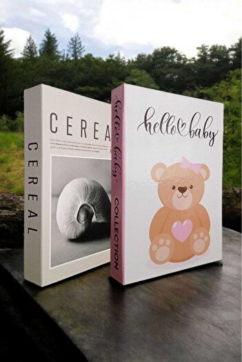 BayCazip Decorative Book Look Box Set of 2 Decorative Book Looking Box