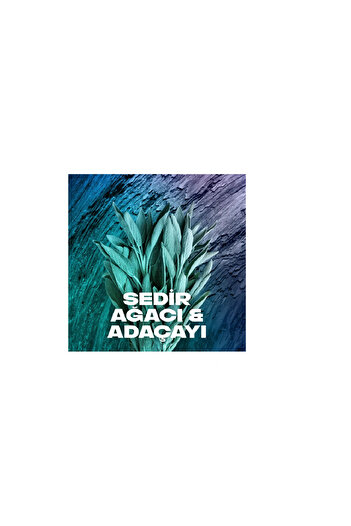 Axe Erkek Sprey Deodorant 200 ml +Saç Bakım Şampuanı Menthol 180 ml