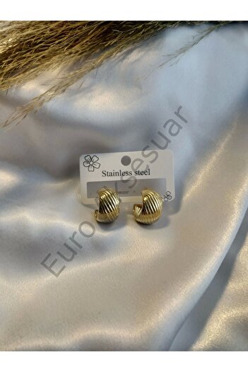 stainless steell Steel Gold Striped Earrings