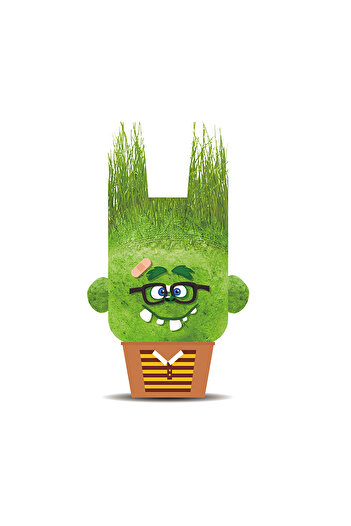 Hape Grass Head Doll - Merry Charles
