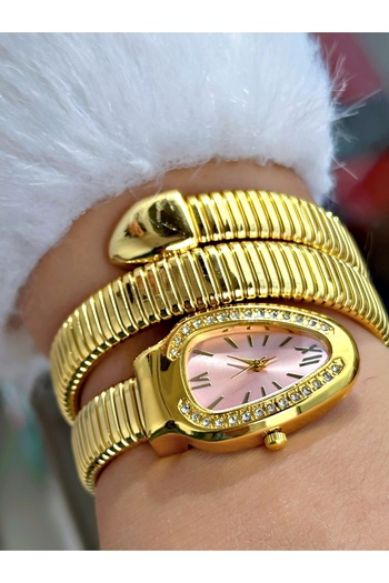 Tisaati Limited Edition Series Special Design Snake Model Metal Cord Women's Wristwatch