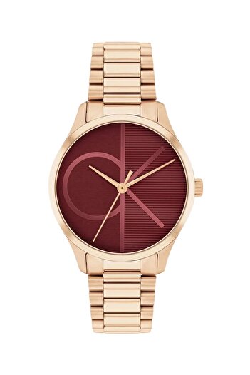 Calvin Klein Iconic Female Watch 25200347