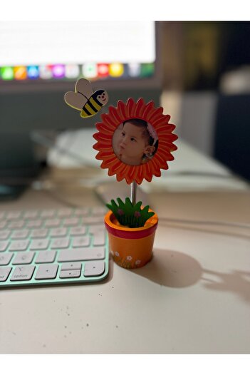 Mnk Daisy-Shaped Flower Pot with Picture Frame, Wooden, Nature-Friendly, 15cm, with Note, at the Same Time