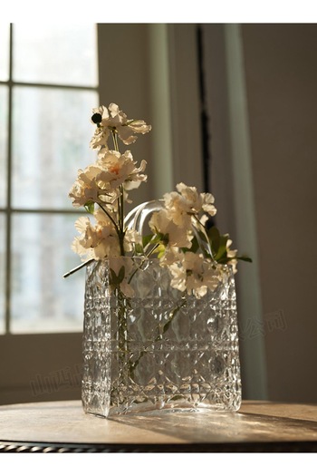 EvLight Glass Decorative Bag Vase Transparent