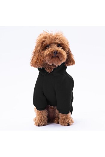Pettrend Black Kangaroo Pocket Cat-Dog Hoodie- Sweatshirt Cat Dog Outfit