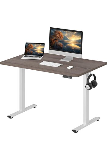 Mahmayi FlexiSpot Electric Standing Desk 120x65 cm, Height Adjustable Spacious Desk - Grey Whiteriver Oak