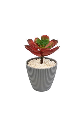 Ella Home Italia Succulent Plant In Pot, Grey, Plastic, 16Cm - Red, Plastic, 16cm