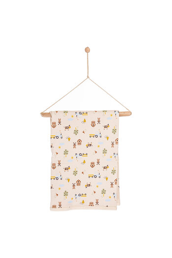 Little Dreams ebebek Erkek Battaniye Erkek Bebek
