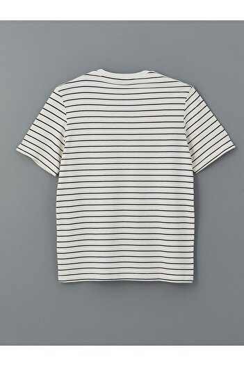 LC Waikiki Ανδρικό μπλουζάκι LCW Crew Neck ριγέ
