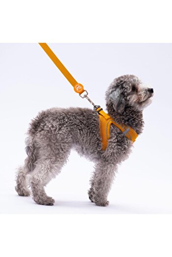 Pawstar Gold Leash Cat Dog Dispatch & Travel Strap Dog Extension Leash