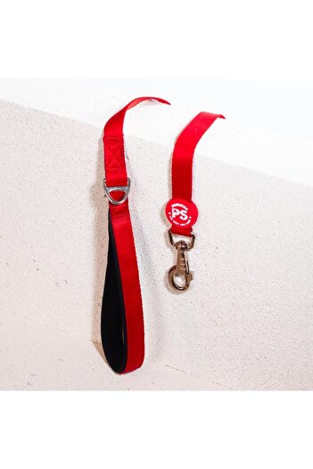 Pawstar Red Leash Cat Dog Dispatch & Travel Strap Dog Extension Leash