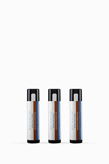 Botanivo Eyebrow Enriching & Nourishing 3X5 ml Stick with Organic Content