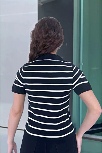 Modark Women's Polo Neck Striped Short Sleeve Knitwear Blouse