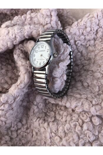 CARDEN Goldon Spring Vintage Model Women's Watch