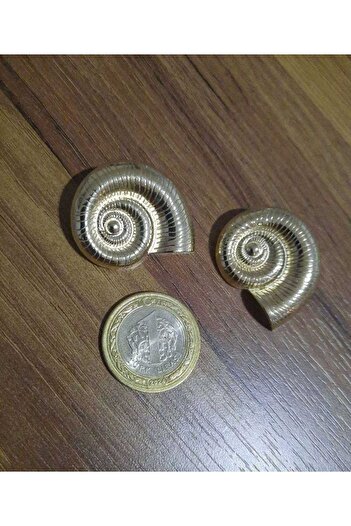 beyna aksesuar Z.A.R.A Moda Beyna 4 Large Size Gold Color Buttons, (Coat, Jacket, Vest, Dress 2 Buttons 3.5 cm)