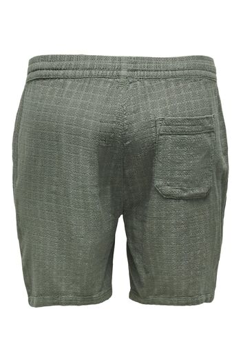 Only & Sons Shorts ONSTEL Normal geschnitten Shorts