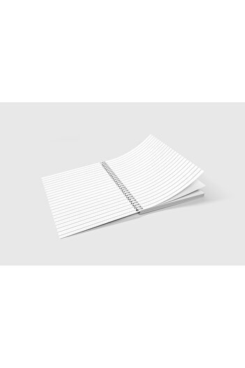 edinotes Design Cat Concept Striped Notebook