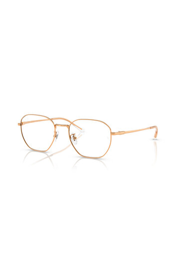 Ray-Ban Ray Ban Vista Unisex Irregular Eyeglasses- Rb 8777d - Lense Size:53mm - Rosegold