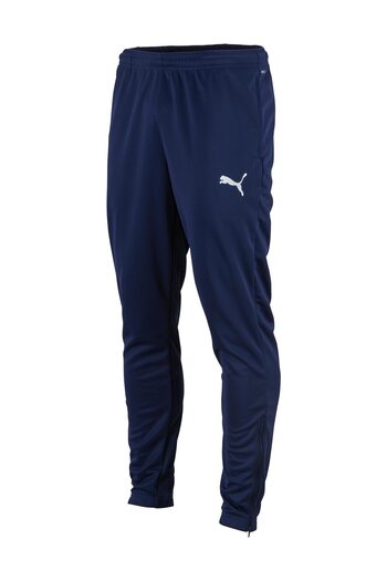 Puma Teamrise Poly Training Pants Ανδρικά Φούτερ προπόνησης ποδοσφαίρου 65739006 Navy Blue