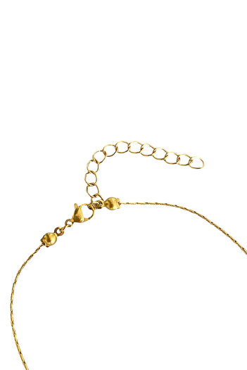 Bonnjerra Jewellery Çelik 1mm İnce Gold Hayalet Zincir Zirkon Taşlı Minimal At Nalı Şans Kolyesi