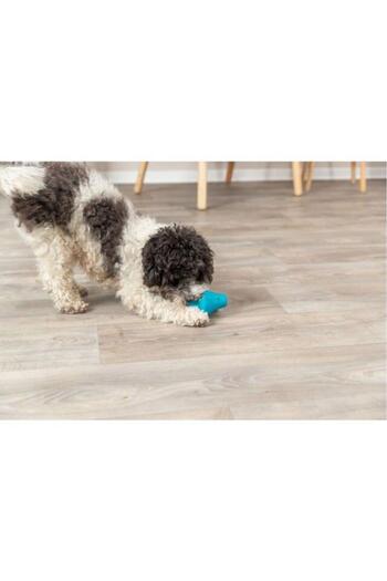 Trixie Natural Rubber Dog Toy, 12 cm with Treat Chamber
