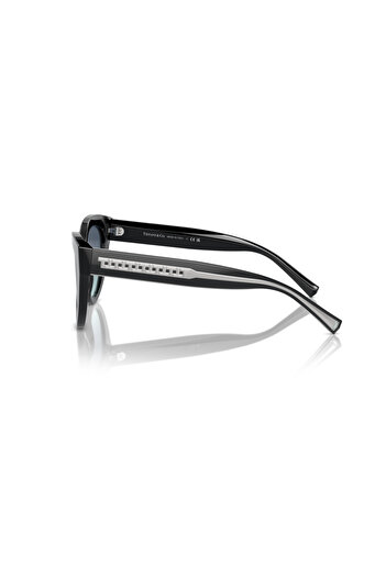 Tiffany Woman Cat Eye Sunglasses- Tf 4220 - Lense Size:54mm - Black