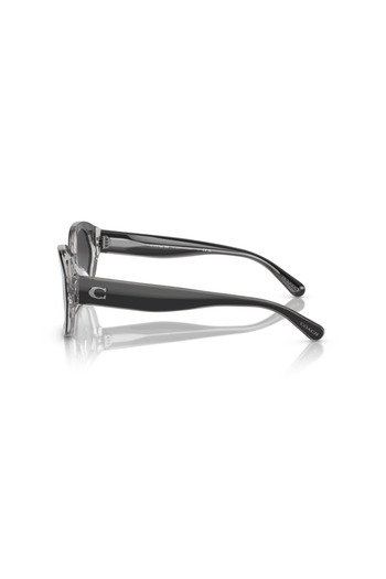 Coach Woman Oval Sunglasses- Hc 8364u - Lense Size:55mm - Black / Transparent Grey
