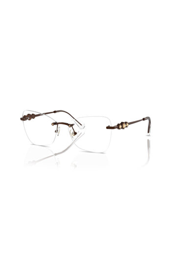 Swarovski Woman Butterfly Eyeglasses- Sk 1014 - Lense Size:53mm - Light Brown