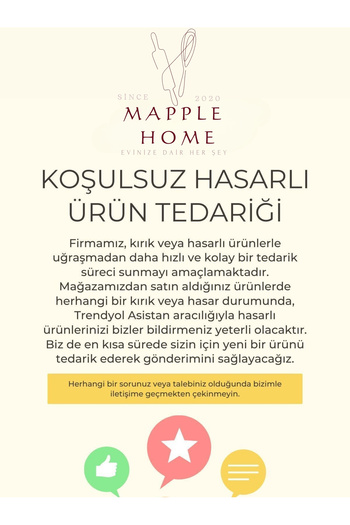 Mapple Home Lemonade and Ayran Mixer Mixer Ayranmatik