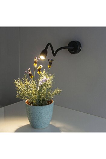 Cata 3 W Led Baykuş Okuma Lambası - Gün Işığı (3000K) - Siyah - CT-5232G
