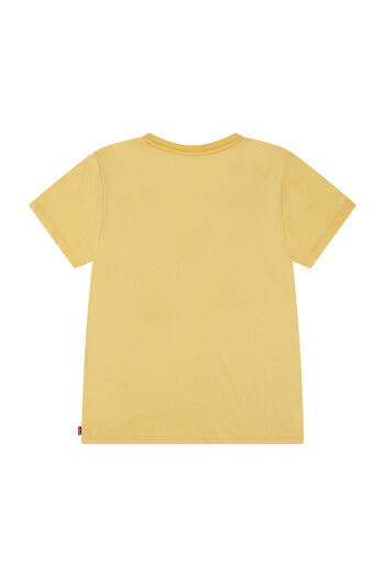 Levi's LVG BATWING TEE