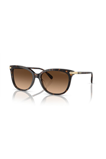 Coach Woman Cat Eye Sunglasses- Hc 8378u - Lense Size:57mm - Dark Tortoise