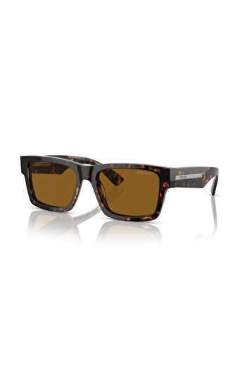 Prada Man Rectangle Sunglasses- Pr 25zs - Lense Size:53mm - Tortoise
