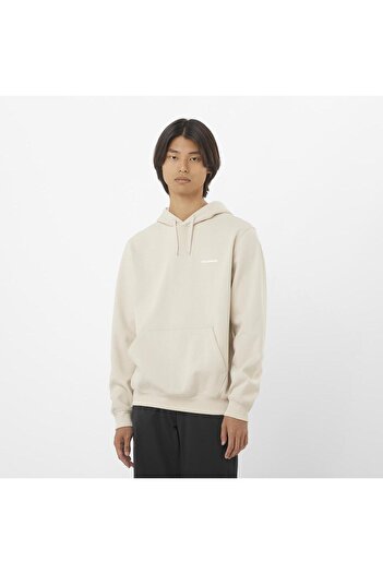 Salomon Logo Men's Sweatshirt Rainy Day Lc2523200