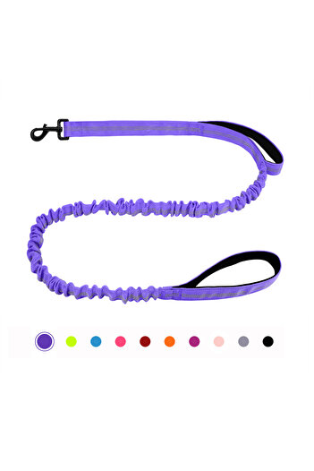 Choice PURPLE Bungee Dog Leash, Heavy Duty Dog Leash with Shock Absorption, 2 Padded Handles Training Leash