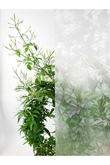 d-c-fix 276-8301 Decorative Self Adhesive Glass Foil (67 cm X 2 Mt)