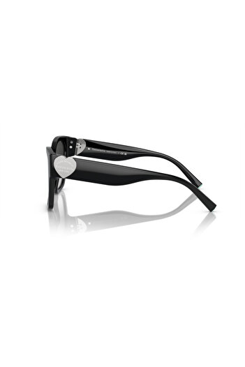 Tiffany Woman Square Sunglasses- Tf 4216 - Lense Size:54mm - Black