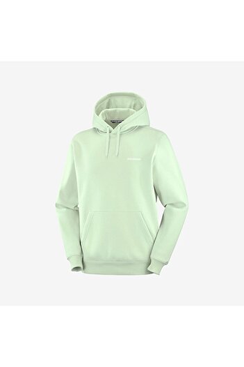 Salomon Ανδρικό φούτερ LOGO SEA FOAM LC2524100