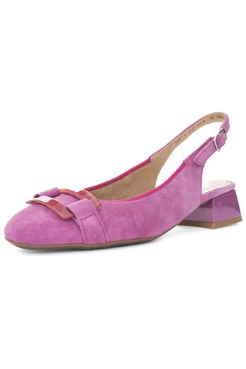 ARA Pumps