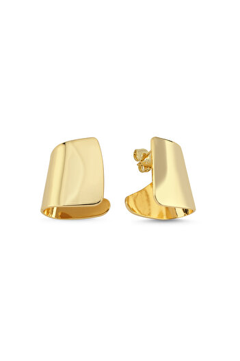 CHARMLUCKY Special Series Plate Earrings