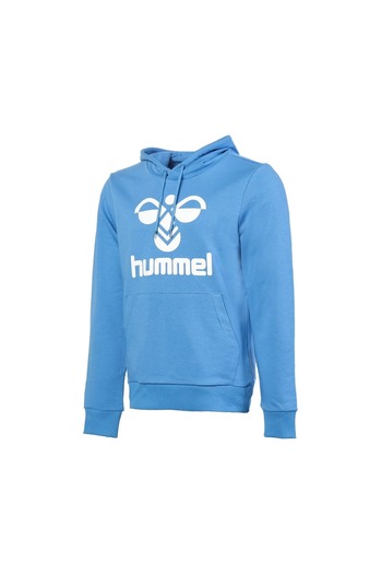 hummel Чоловічий синій світшот Arus з капюшоном