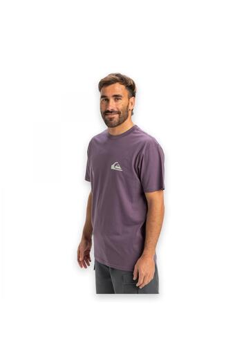 Quiksilver Eqyzt08042 Home Mini Logo Ss Purple Men's T-Shirt