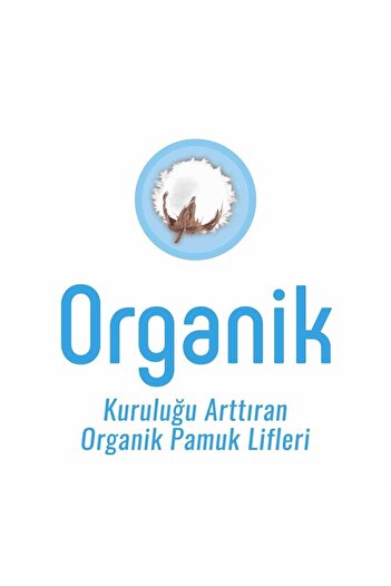 Sleepy Natural Günlük Ped Normal 160 Adet Süper Ekonomik Pk (4PK*40)