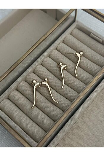 MyladyAccessoriess Special Series Double Design Earrings with Heel Detail