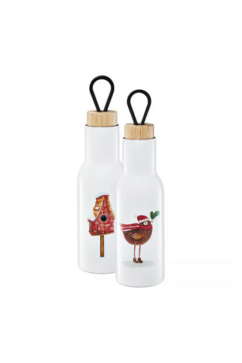 Ambition Thermos bottle 400ml, bird pattern, Forest