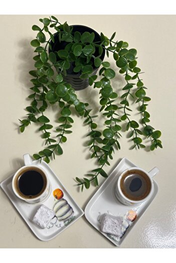 Lilac Home Floare artificială, ghiveci negru, colț de cafea, mini eucalipt