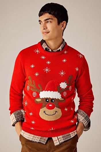 DeFacto Standard Fit Christmas Themed Crew Neck Knitwear Sweater Y1882Az23Wn