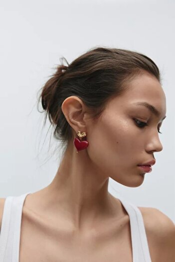 CHARMLUCKY Steel Red Heart Heart Earrings