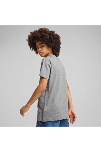 Puma Tričko Puma Ess 2 Color No.1 Logo Tee B, Grey, Kids